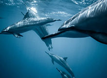 欧洲大满贯瑞典站：陈垣宇3-1战胜亚当-沃林，晋级32强